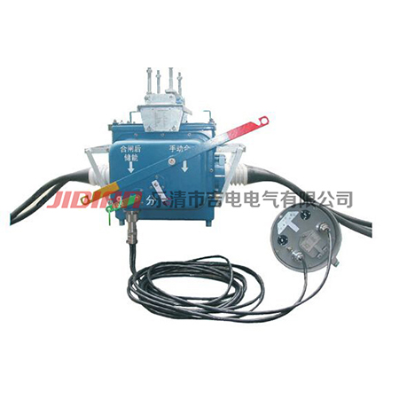 FZW28（VSP5)-12柱上分界真空隔离断路器