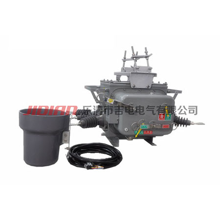 ZW20-12户外柱上分界开关