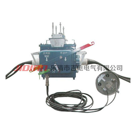 FZW28-12户外10KV柱上真空负荷分界开关